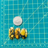 Large Royal Orange Oval Treasure Mountain Turquoise, Set of 3 Dimensions
