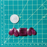 Medium Purple Mixed Spiny Oyster, Set of 5 Dimensions