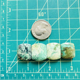 Medium Mixed Barrel Crescent Lake Variscite, Set of 4 Dimensions