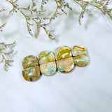 Medium Mixed Half Moon Royston Turquoise, Set of 8 Background