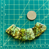 Large Sea Green Petal Wild Horse Turquoise, Set of 6 Dimensions