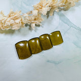 Large Swamp Green Barrel Rosarita, Set of 4 Background