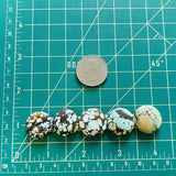 Medium Mixed Round Mixed Turquoise, Set of 5 Dimensions