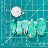 Large Mint Green Mixed Crescent Lake Variscite, Set of 5 Dimensions