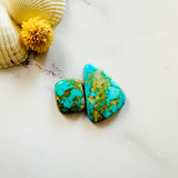 Large Sky Blue Freeform Royston Turquoise, Set of 2 Background