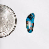 L15 x W7 x H5 mm Sky Blue Freeform Bisbee Background