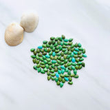 4x6mm Teardrop Sonoran Gold Turquoise Cabochons, Set of 10