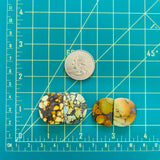 Large Mixed Half Moon Mixed Turquoise, Set of 4 Dimensions