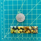 Medium Royal Orange Square Treasure Mountain Turquoise, Set of 4 Dimensions