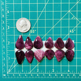 Medium Purple Teardrop Spiny Oyster, Set of 12 Dimensions