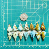 Large Mixed Shield Mixed Turquoise, Set of 14 Dimensions