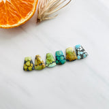 Medium Mixed Freeform Mixed Turquoise, Set of 6 Background