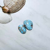 Large Sky Blue Freeform Golden Hills Turquoise, Set of 2 Background
