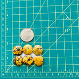 Medium Royal Orange Round Treasure Mountain Turquoise, Set of 6 Dimensions