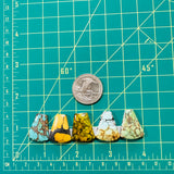 Medium Mixed Petal Mixed Turquoise, Set of 5 Dimensions