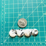 Medium White Round White Buffalo Dolomite, Set of 4 Dimensions
