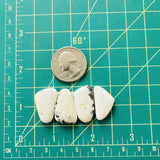 Medium White Mixed White Buffalo Dolomite, Set of 4 Dimensions