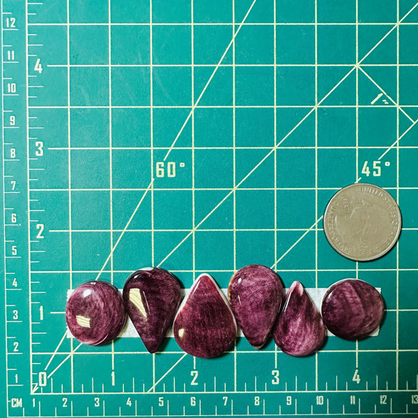 Large Purple Mixed Spiny Oyster, Set of 6 Dimensions