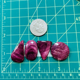 Large Purple Mixed Spiny Oyster, Set of 4 Dimensions