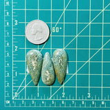 Large Sea Green Teardrop Crescent Lake Variscite, Set of 3 Dimensions