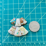 Medium Mixed Petal Royston Turquoise, Set of 6 Dimensions