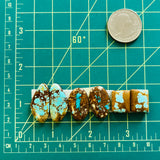 Medium  Sky Blue Mixed New Lander Variscite, Set of 6 Dimensions