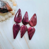 Large Purple Teardrop Spiny Oyster, Set of 6 Background