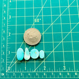 Small Sky Blue Freeform Sleeping Beauty Turquoise, Set of 4 Dimensions