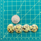 Medium Royal Orange Round Treasure Mountain Turquoise, Set of 4 Dimensions
