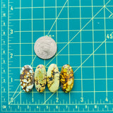 Large Royal Orange Oval Mixed Turquoise, Set of 4 Dimensions