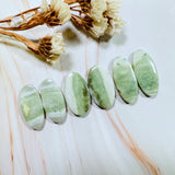 Large Lime Green Oval Green Serpentine Serpentine, Set of 6 Background