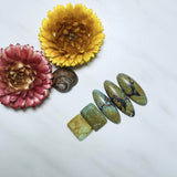 Large Mixed Mixed Mixed Turquoise, Set of 5 Background