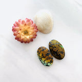 Medium Earth Brown Oval Treasure Mountain, Set of 2 Background