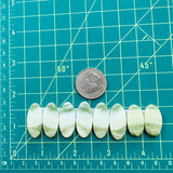 Medium Lime Green Oval Green Serpentine Serpentine, Set of 8 Dimensions
