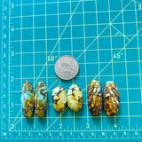 Large Mixed Mixed Mixed Turquoise, Set of 6 Dimensions