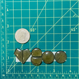 Medium Swamp Green Mixed Rosarita, Set of 6 Dimensions