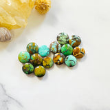 Small Mixed Round Mixed Turquoise, Set of 14 Background