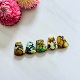 Medium Mixed Freeform Mixed Turquoise, Set of 5 Background