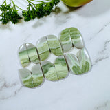 Medium Lime Green Freeform Green Serpentine Serpentine, Set of 12 Background