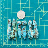 Large Ocean Blue Mixed Wild Horse Turquoise, Set of 12 Dimensions