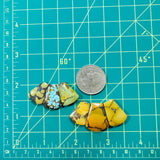 Medium Mixed Petal Mixed Turquoise, Set of 6 Dimensions