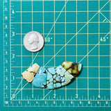Large Mixed Petal Mixed Turquoise, Set of 5 Dimensions