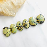 Large Royal Orange Oval Treasure Mountain Turquoise, Set of 6 Background