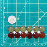 Medium Mixed Round Rosarita, Set of 12 Dimensions