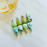Medium Mixed Teardrop Mixed Turquoise, Set of 8 Background