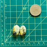Medium Light Yellow Oval Crescent Lake Variscite, Set of 2 Dimensions
