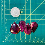 Large Purple Teardrop Spiny Oyster, Set of 4 Dimensions