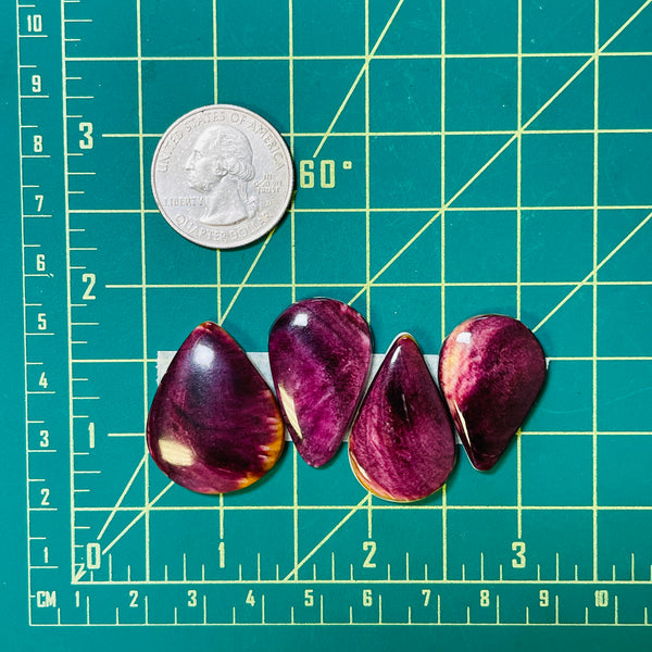 Large Purple Teardrop Spiny Oyster, Set of 4 Dimensions