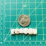 Small White Barrel White Buffalo Dolomite, Set of 6 Dimensions