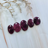 Medium Purple Oval Spiny Oyster, Set of 5 Background